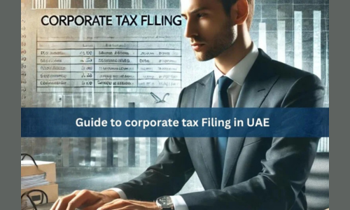 corporate tax filing consultant